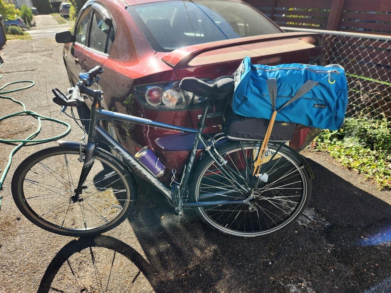 2023 Cannondale Quick Silver, gray or bare metal