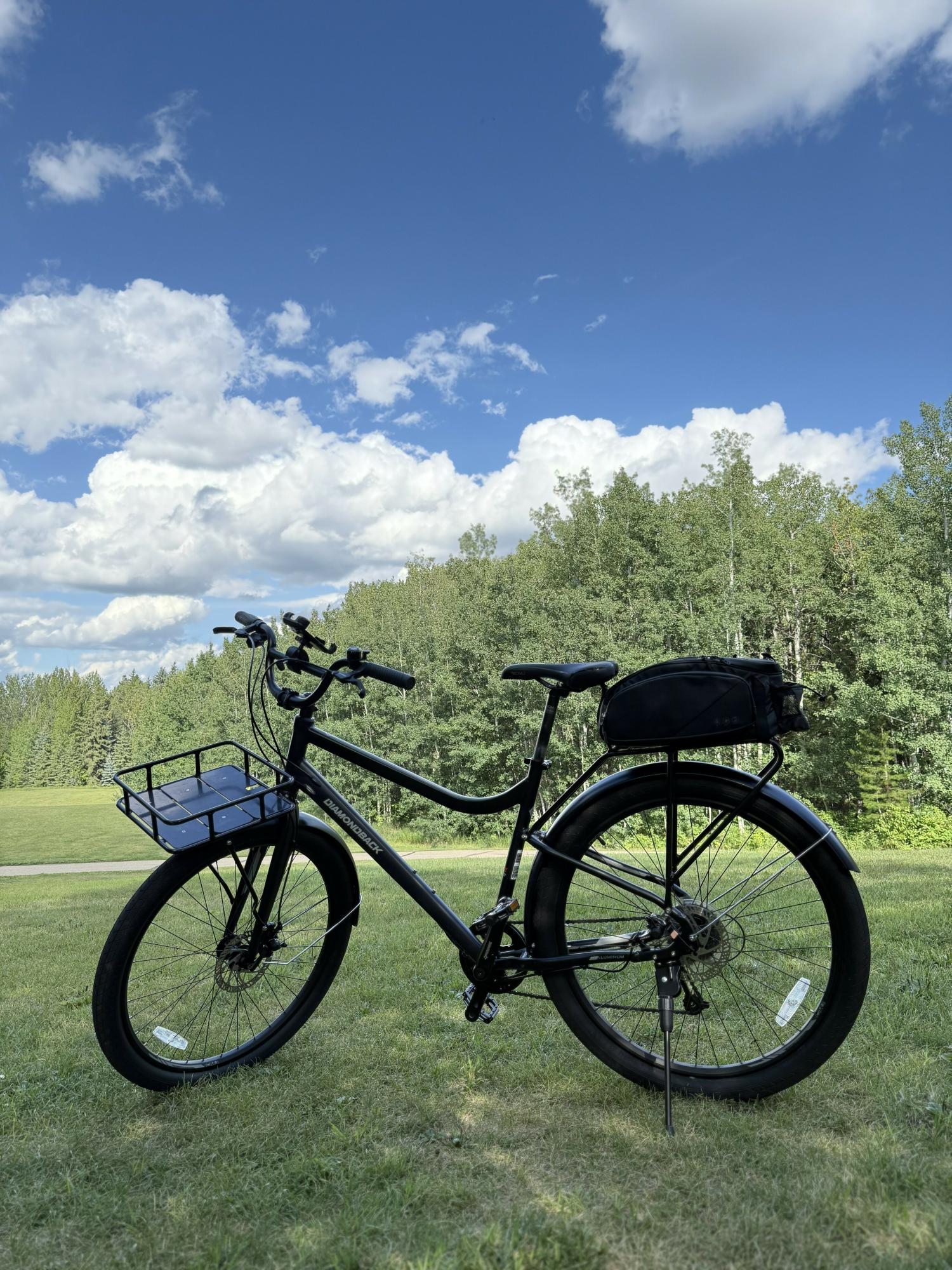 2025 Diamondback 6061 T6 heat treated aluminum frame Black