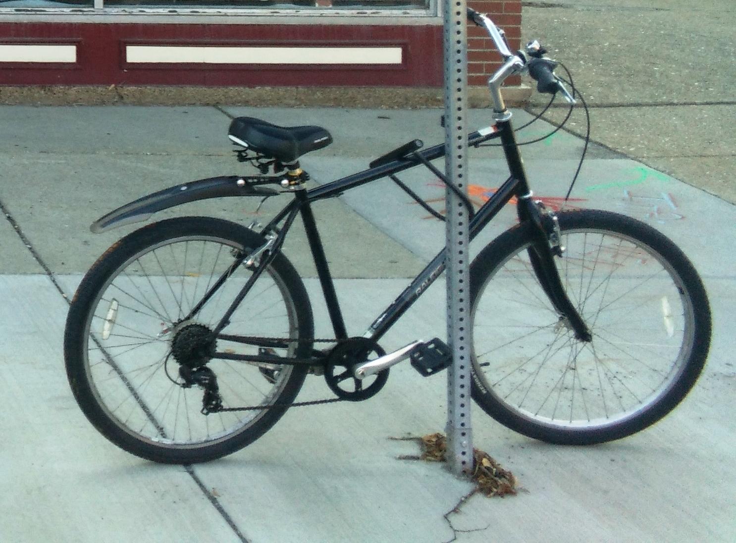 2017 Raleigh XL Black