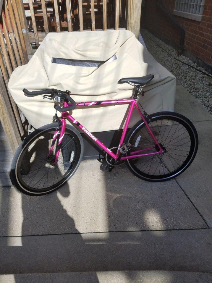 2016 Fyxation Eastside Pink