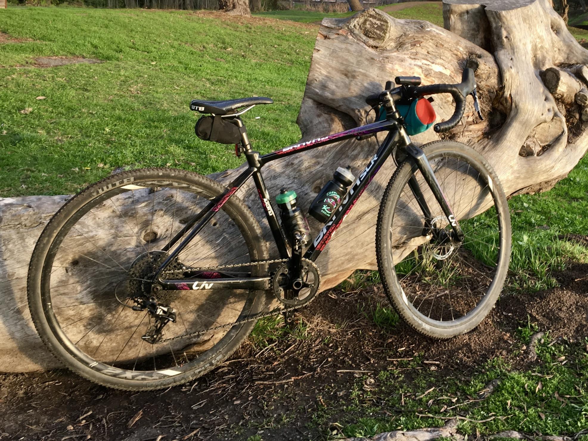 2017 Giant LiV Brava SLR X-Small Black, Purple, and Red