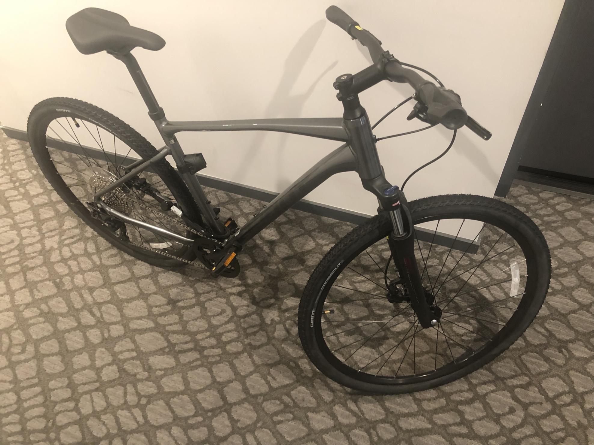 2021 Giant Roam 2 Silver, gray or bare metal