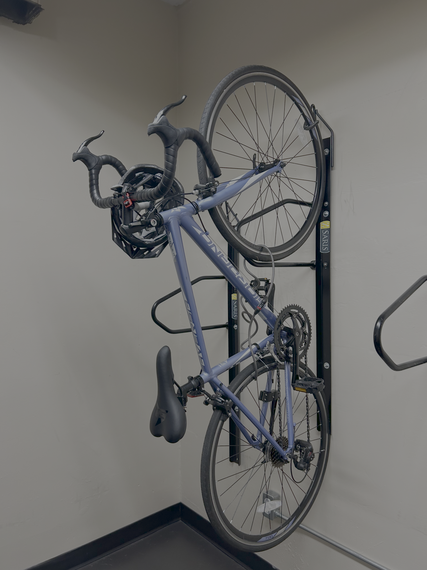 Giordano Aversa Aluminum Road Bike Purple