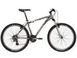 Gary Fisher Silver or Gray
