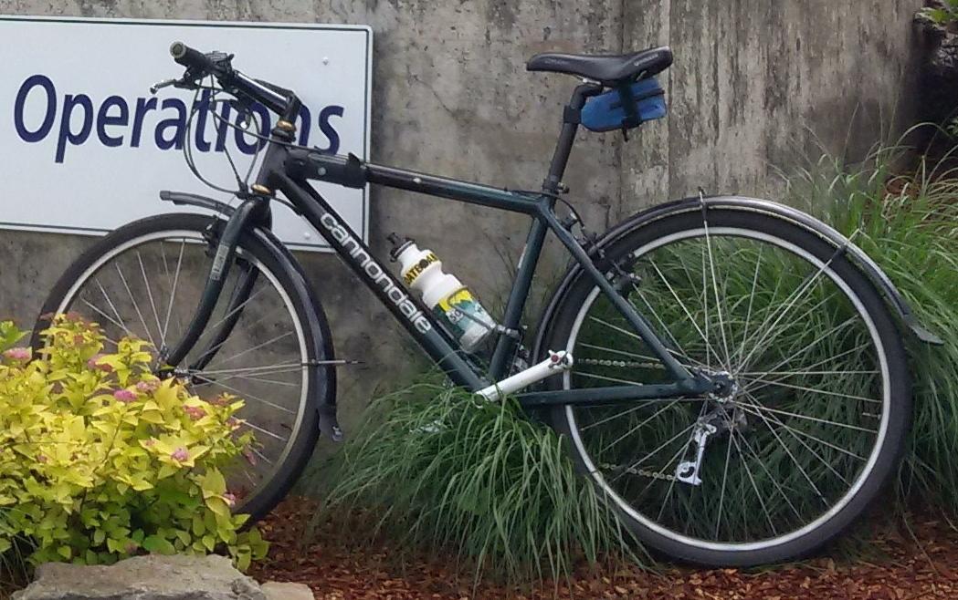 1993 Cannondale mountain Black