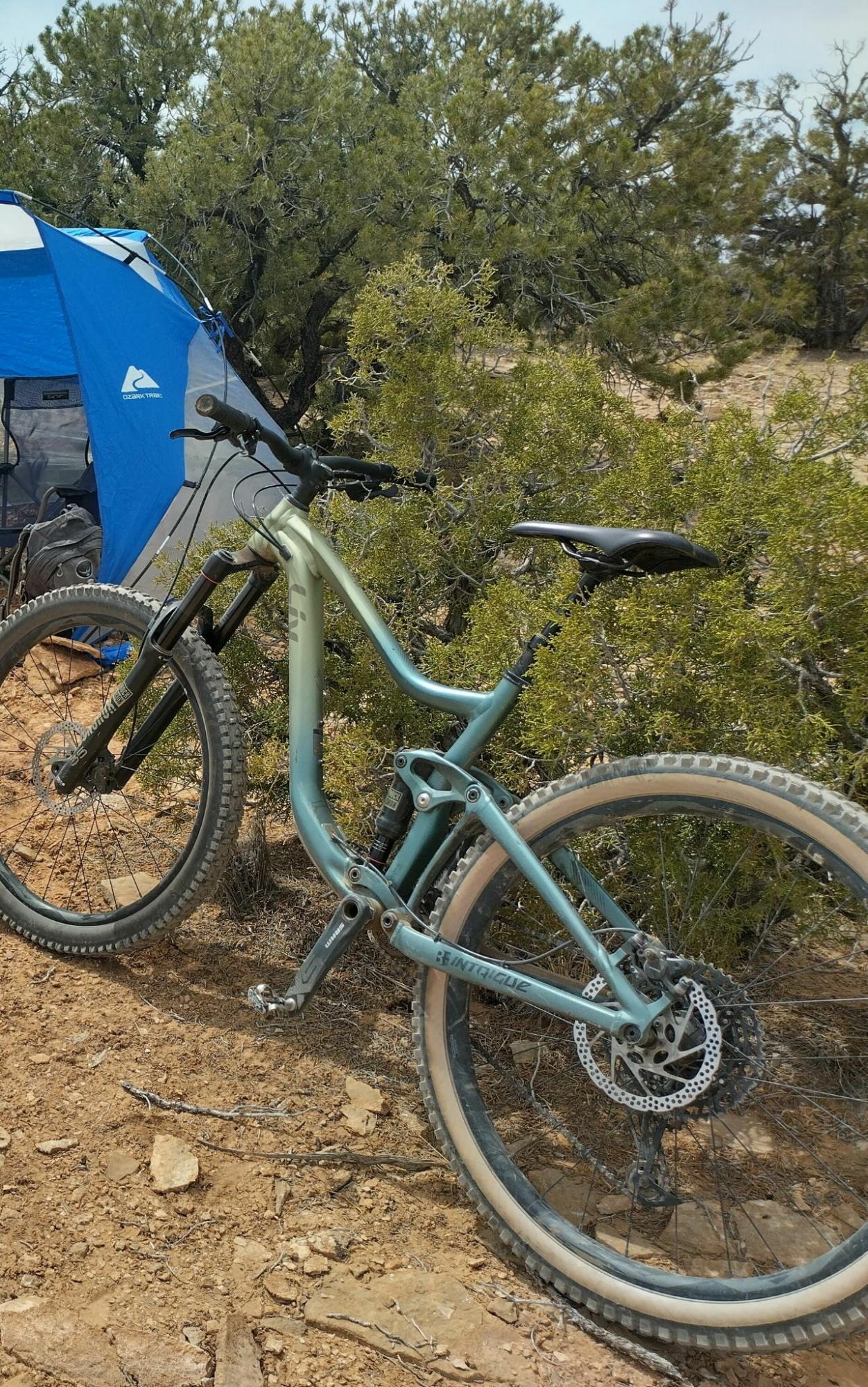 2019 Liv Intrigue Blue and Green