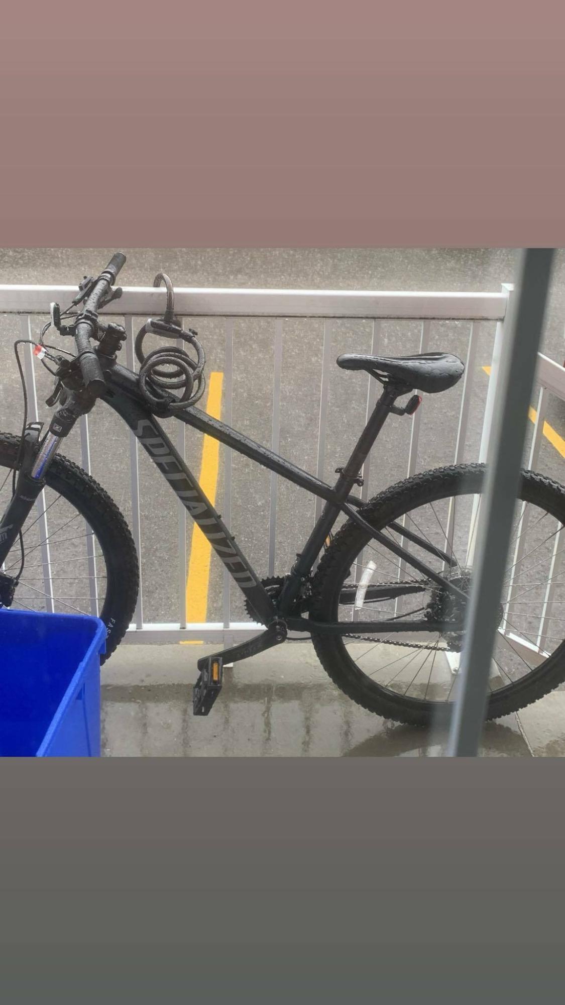 2025 Specialized ROCKHOPPER Silver, gray or bare metal