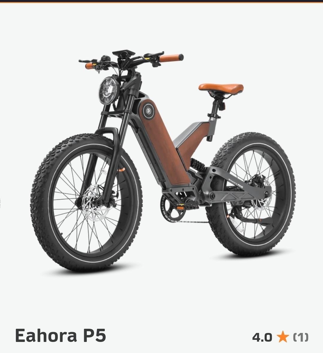 2024 Other Brown