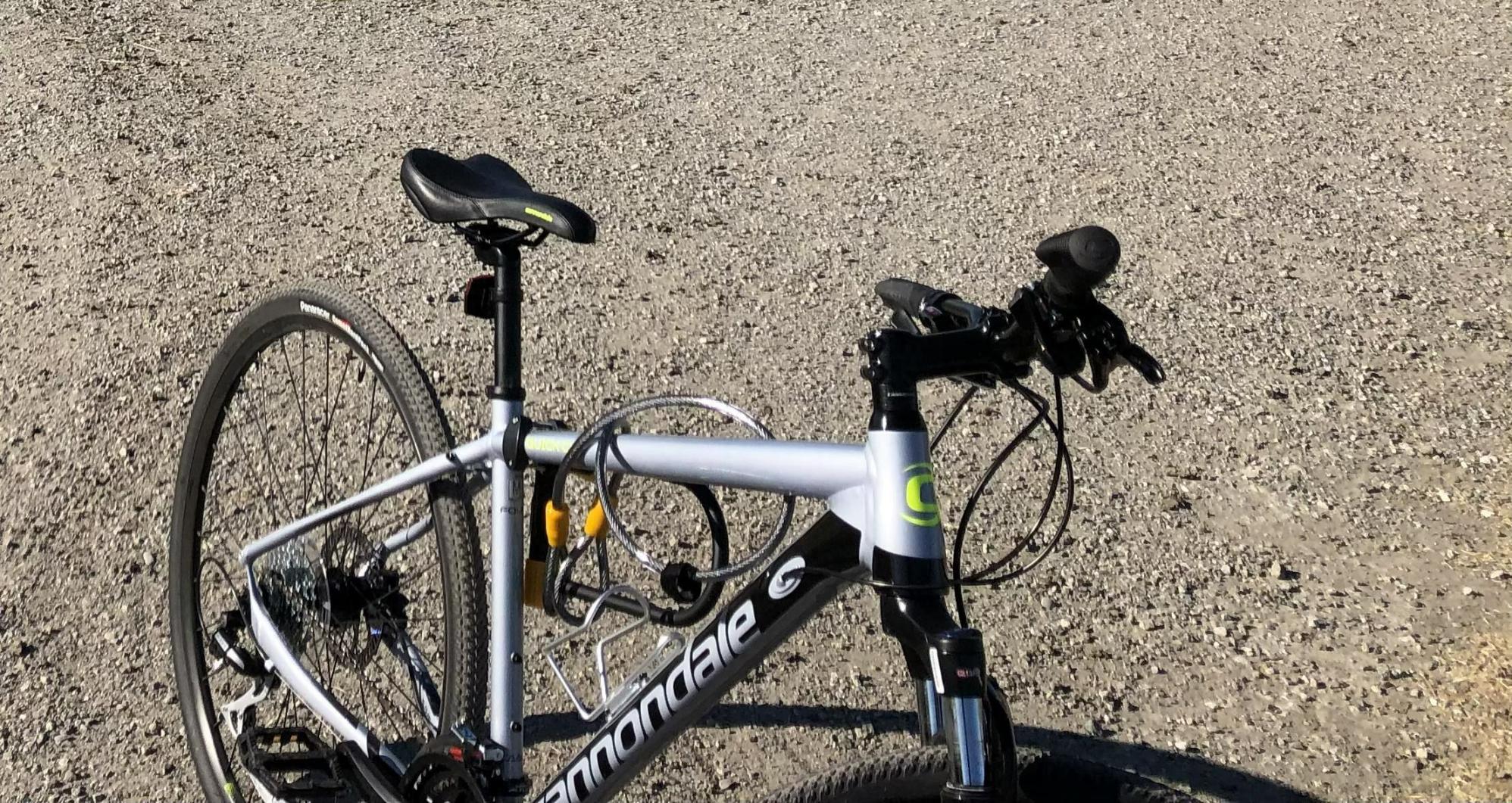 Cannondale Quick Cx 4 Silver, gray or bare metal