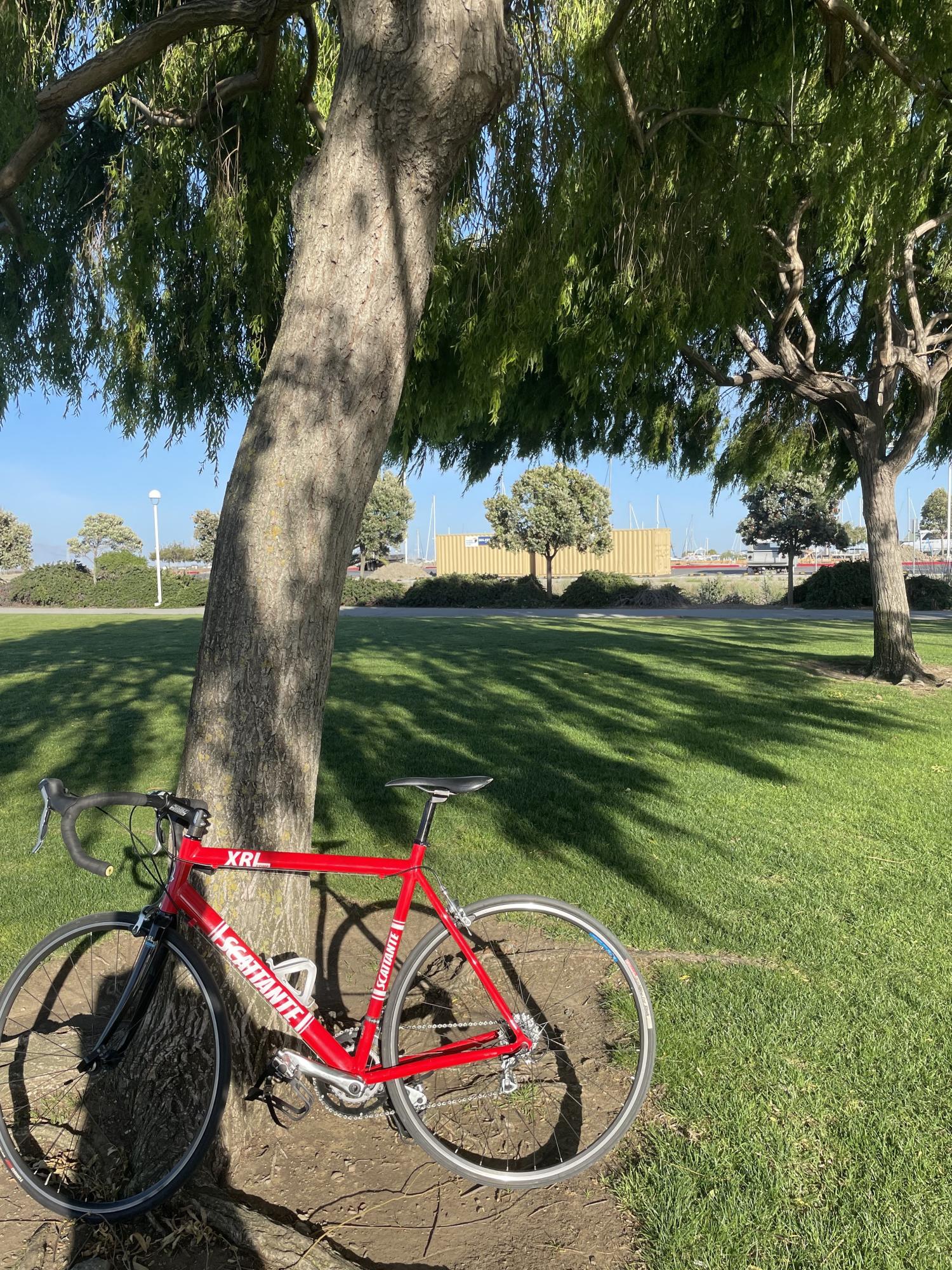 Scattante XRL Comp Red and White