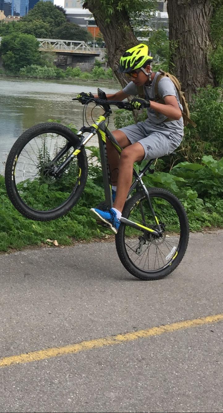 Giant Talon 27.5 1 (2014) Yellow or Gold and Silver or Gray