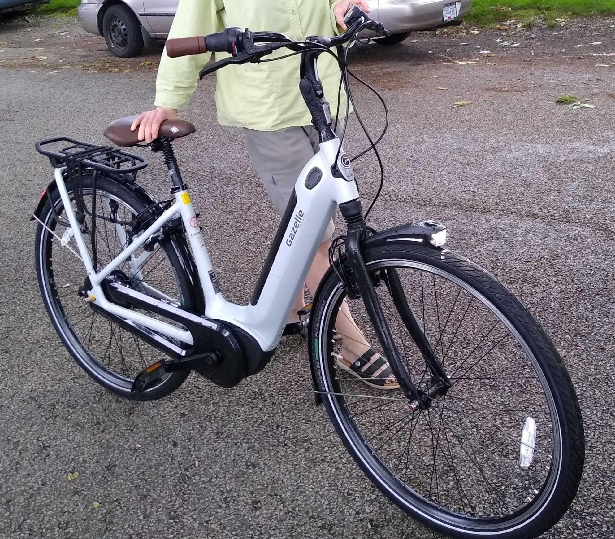 2020 Gazelle arroyo Silver, gray or bare metal