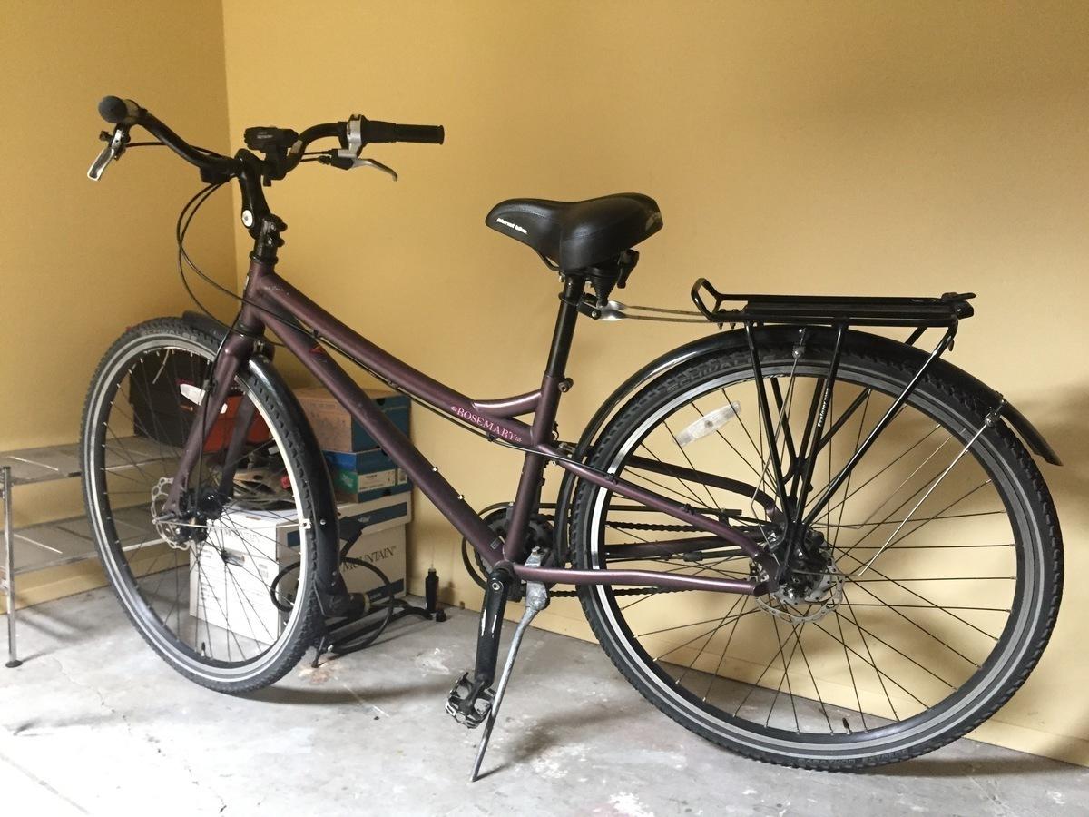 2010 Transit Rosemary Purple