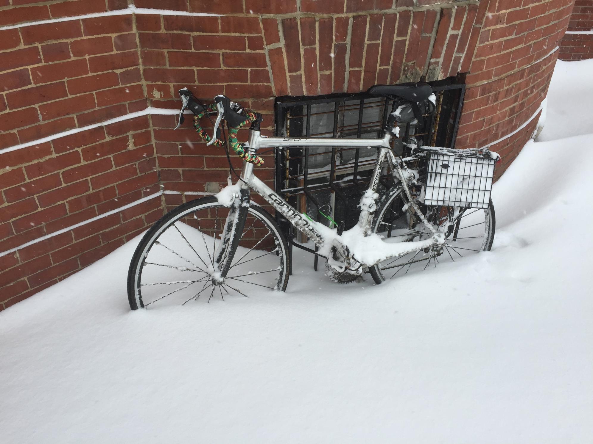 2015 Cannondale XL Silver or Gray