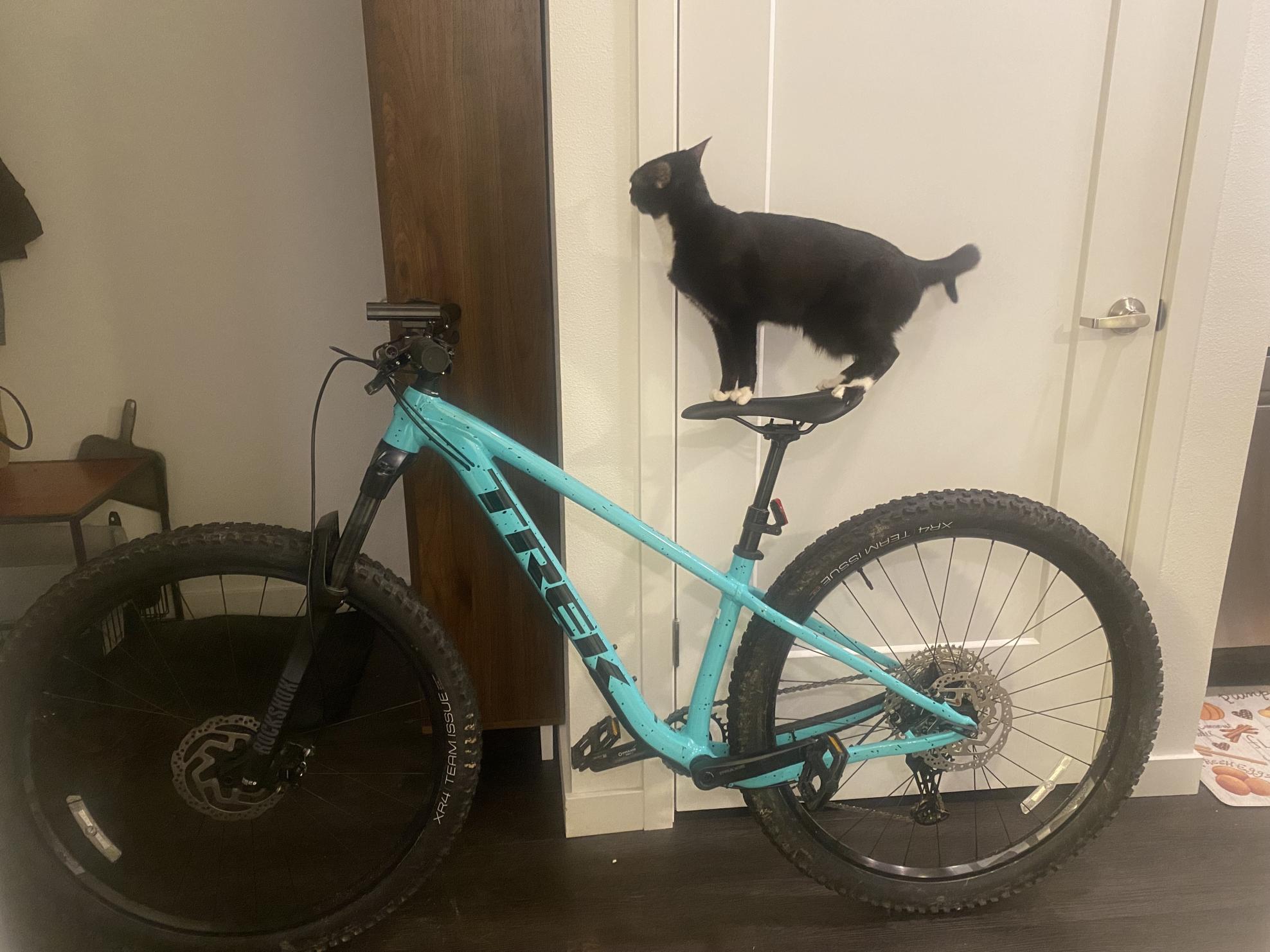 2022 Trek Roscoe 7 S Green and Blue