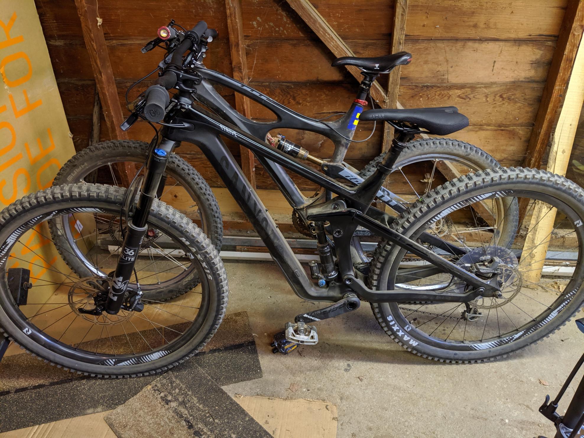 2019 Canyon bicycles STV CF 8.0 19 Black