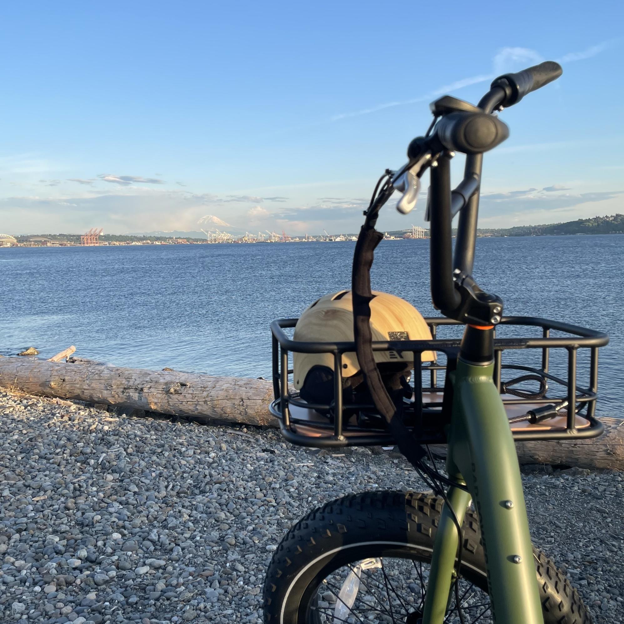 2023 Rad Power Bikes Green