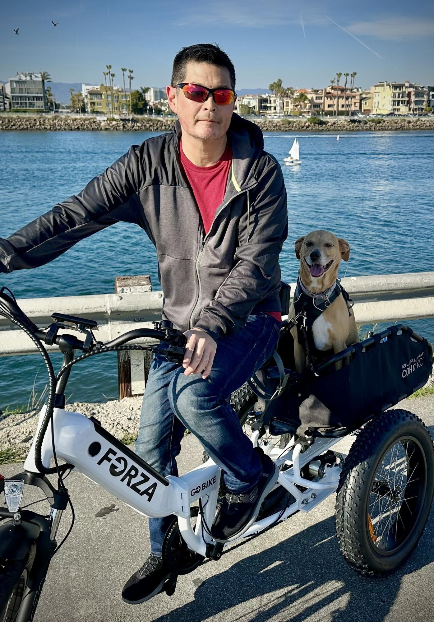 2023 GO BIKE FORZA cargo tricycle (rear storage) White