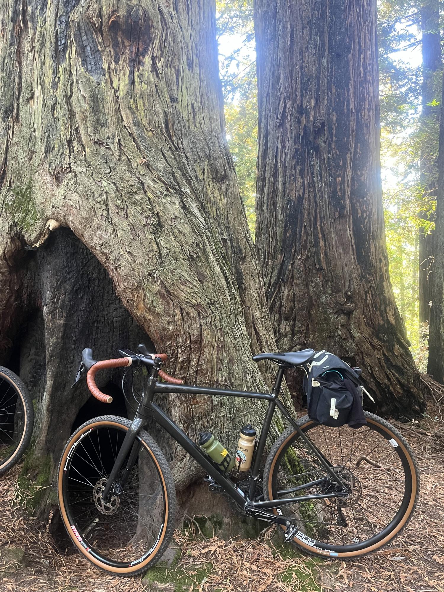 2020 Cannondale Topstone Black